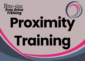 A pale grey background with darker grey and pink pattern. Text reads Bite-size prey drive training: Proximity Training
