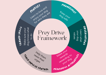 A circular drawing of the 6 elements of the prey drive framework