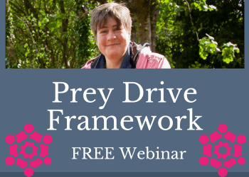 A woman wearing a pink jacket smiles at the camera at the top of the image. The text reads Prey Drive Framework: free webinar