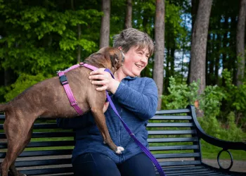 A laughing woman plays with a brindle Staffordshire bull terrier